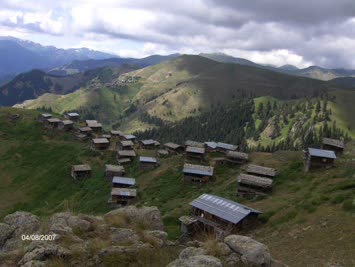 Hohlevi
