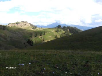 Hohlevi