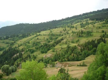 Seslavur