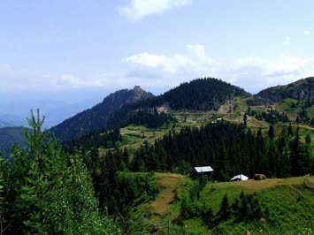 Ustamis