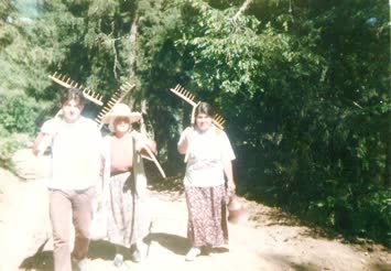 Çayağzı Köyü