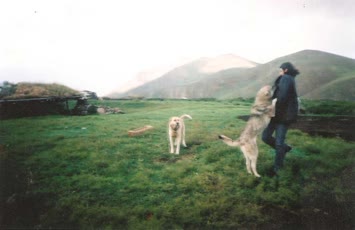 Kangallarımız