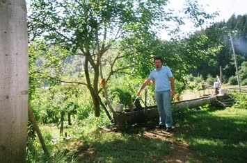 Todzelar