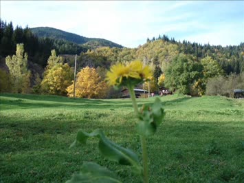 Bağaçkur Mahallesi