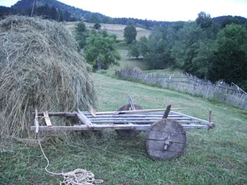 Cinal