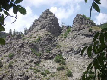  Cinal