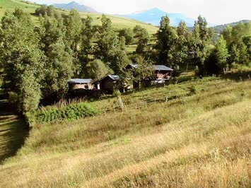 Hüsnifer Çelik