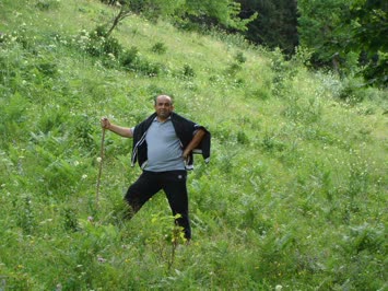 Şemseddin Işık Galeri