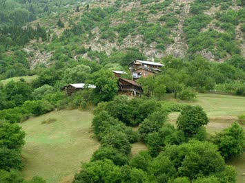 Orta Mahalle