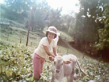 Gülay Köyde