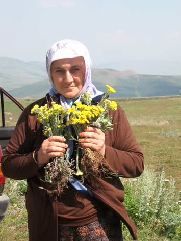 annem ve negoları