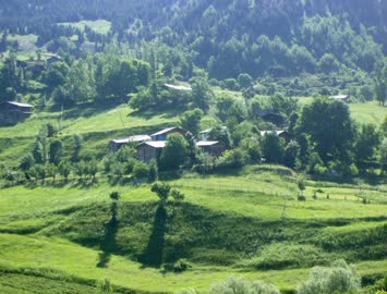 Çisvet