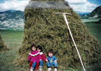 Saylıcada yığın(demet,deniz,selçuk)