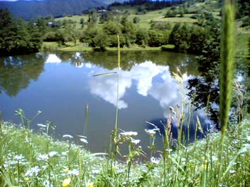 balık gölü