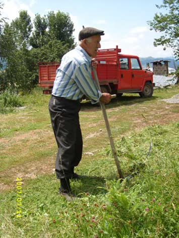 Babam çayır biçerken