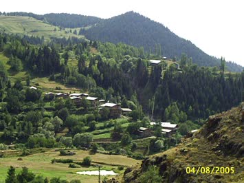 BASAVRA