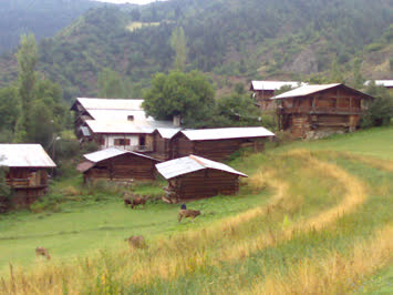 Adnan Bilir 2007 Cevizli Köyü