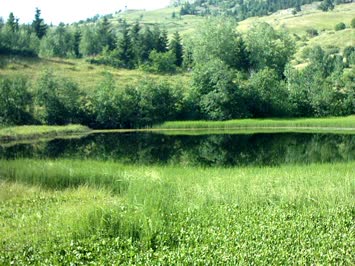 Suloban Karagöl