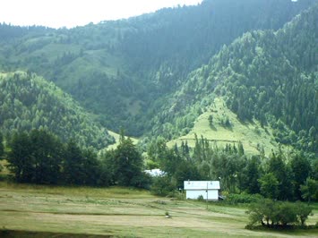 şalikilin satarlar