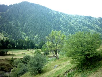 Suloban