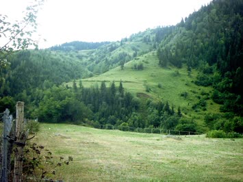 Suloban
