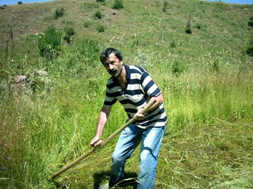 Biçerken