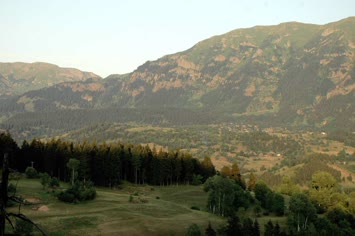Meşeliden Süles