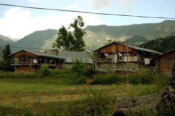 Süles