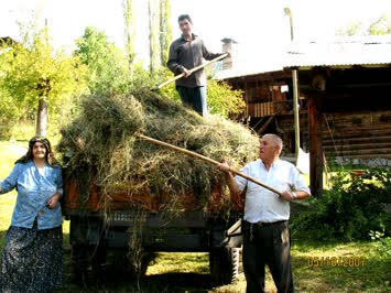 ENSAR-GÜNEVVER BÜYÜK BAHÇEDEKİ OTU YÜKLÜYOR