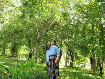 Annem