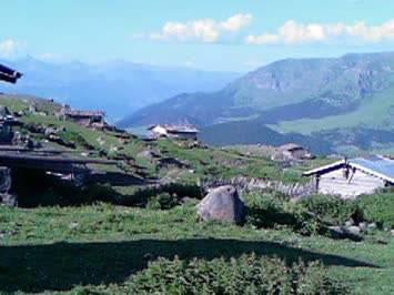 Yayla