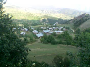Özgen Aslan