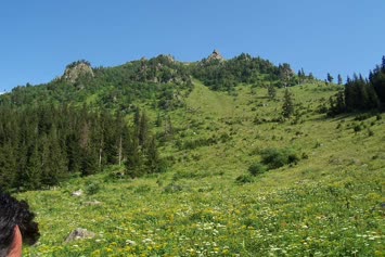 varsladan adamkayasi