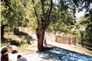 Dut dökme işlemi