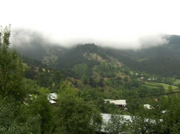 Cevizli