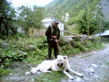 Çağlar Durmuş