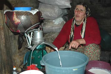 zenne ablay sütü makinaya vuriyer