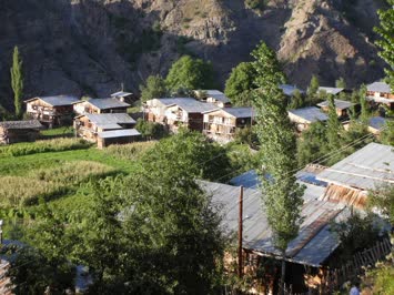  Cinal