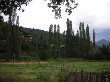 Cinal