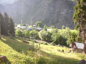 Cinal