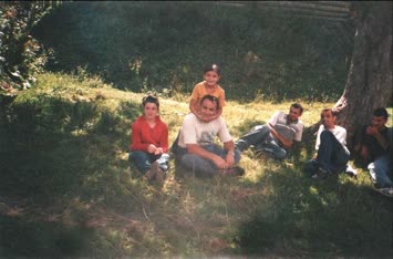 a.koyunlu köyü(gül ailesi)