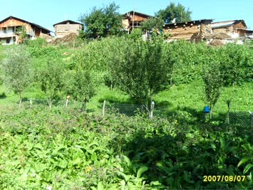 bizim evler