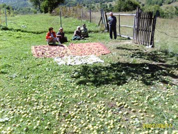 armut dökerken