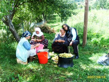 armut kağlarken
