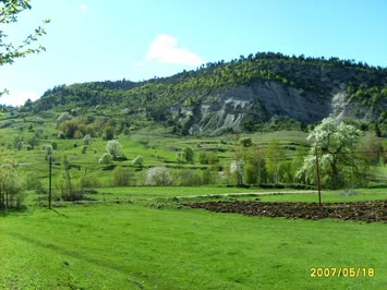 manzara