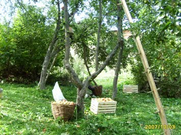 bahçemiz