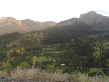 Cinal