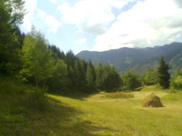 Cinal