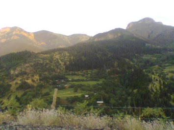 Cinal