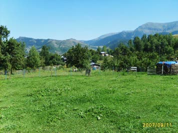 şimşilavur